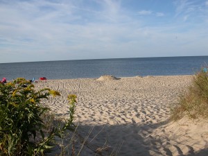 a last look from the dune, before leaving the beach 