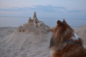 my favorite granddog, Mister Lewes, looking at the castle after hours.