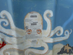 close up octopus right side tank July 2016